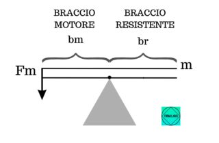 Dimostrazione del funzionamento delle leve di terzo genere